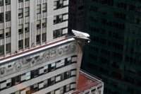 chrysler-ornament